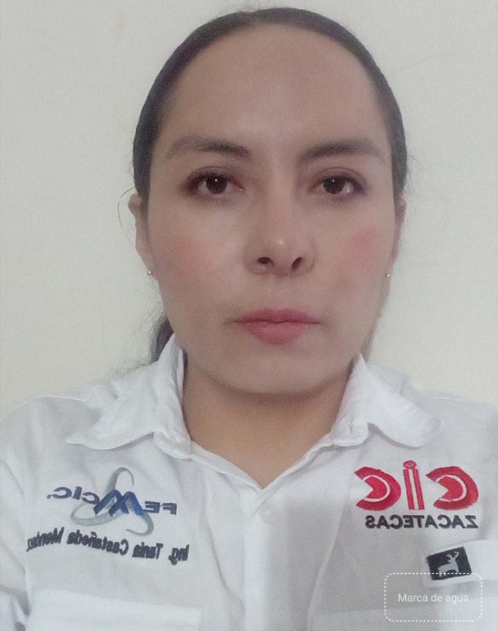 Ing. Tania Castañeda Méndez